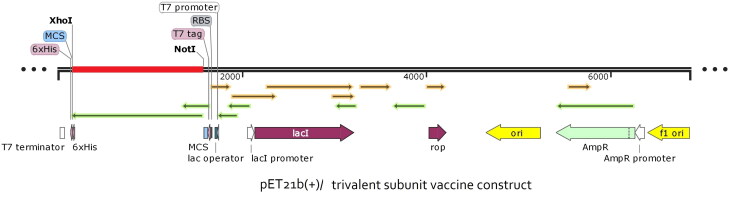 Figure 13.