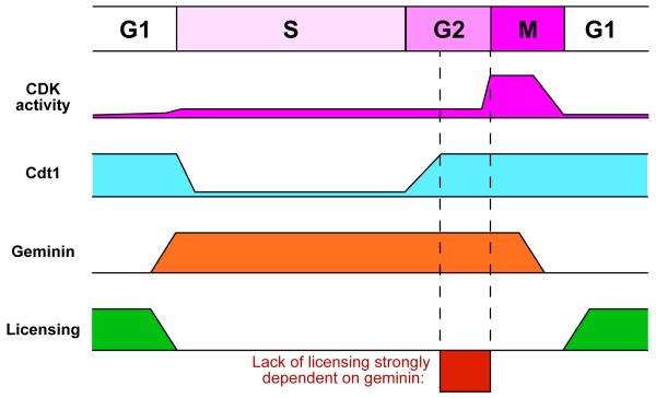 Figure 9