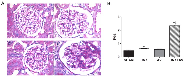 Fig 5