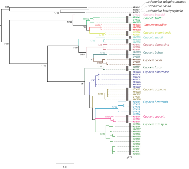 Figure 2.