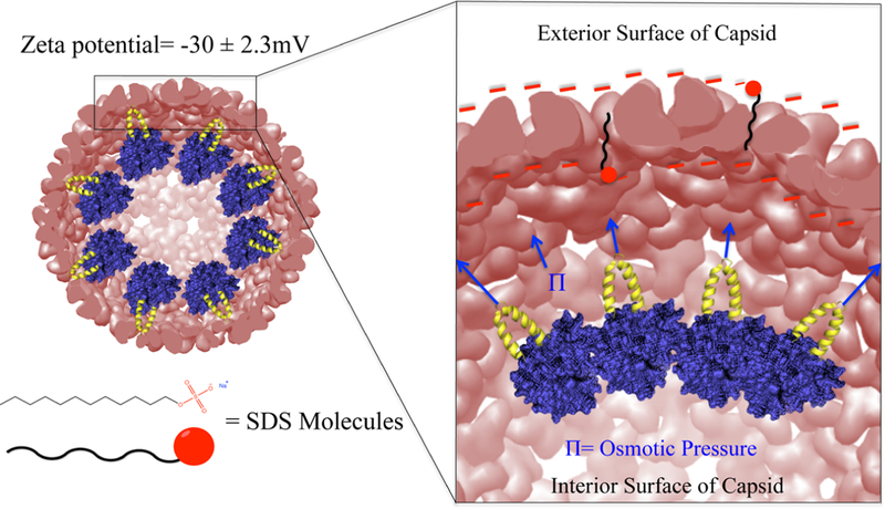 Figure 10.