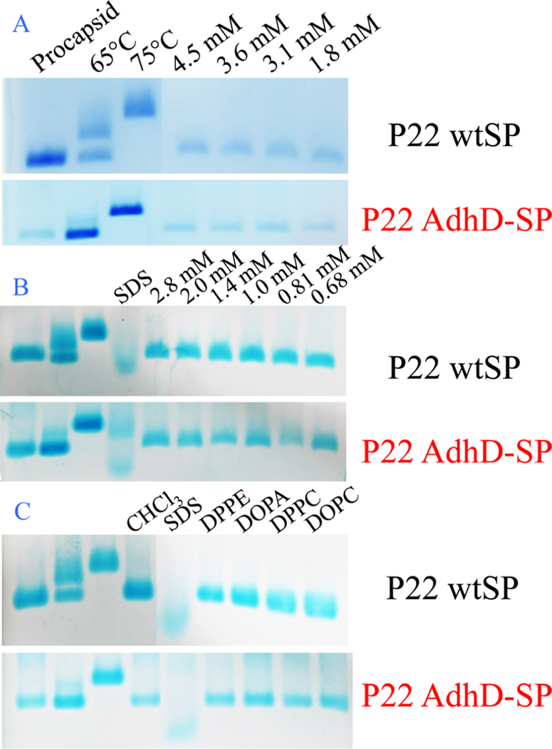 Figure 11.