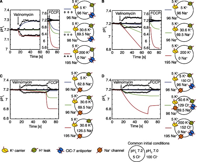 Figure 2.