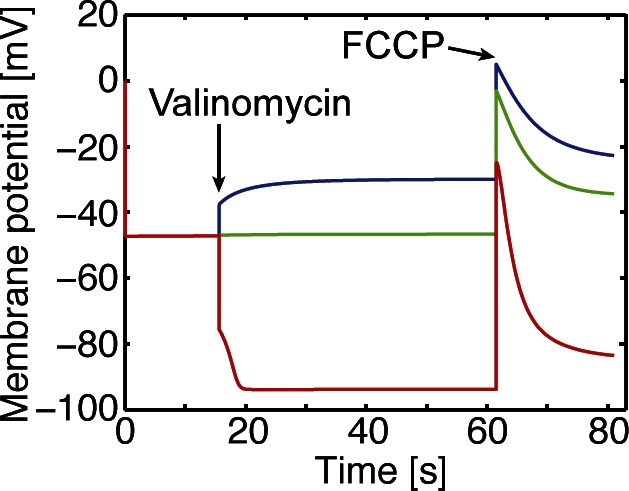 Figure 3.