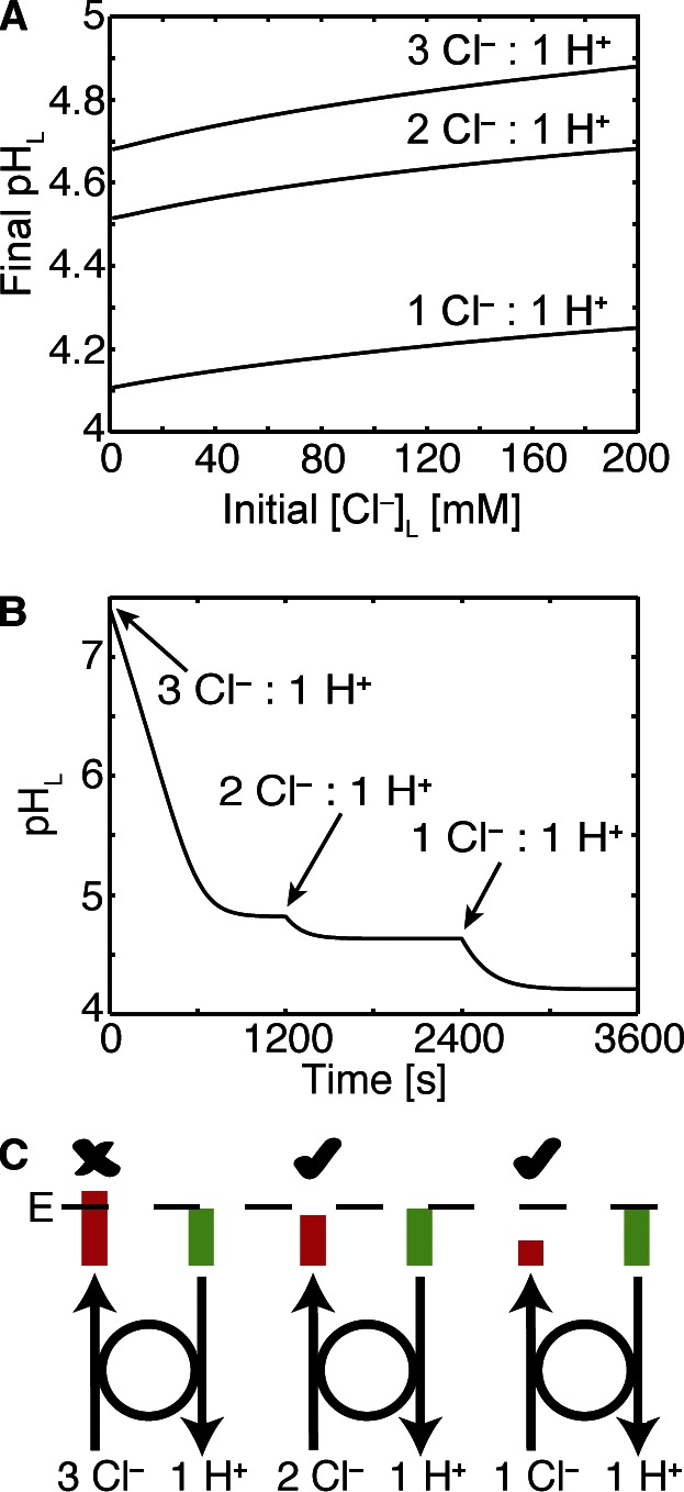 Figure 8.