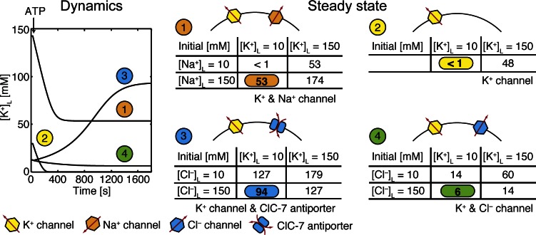 Figure 7.