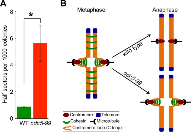 FIGURE 11: