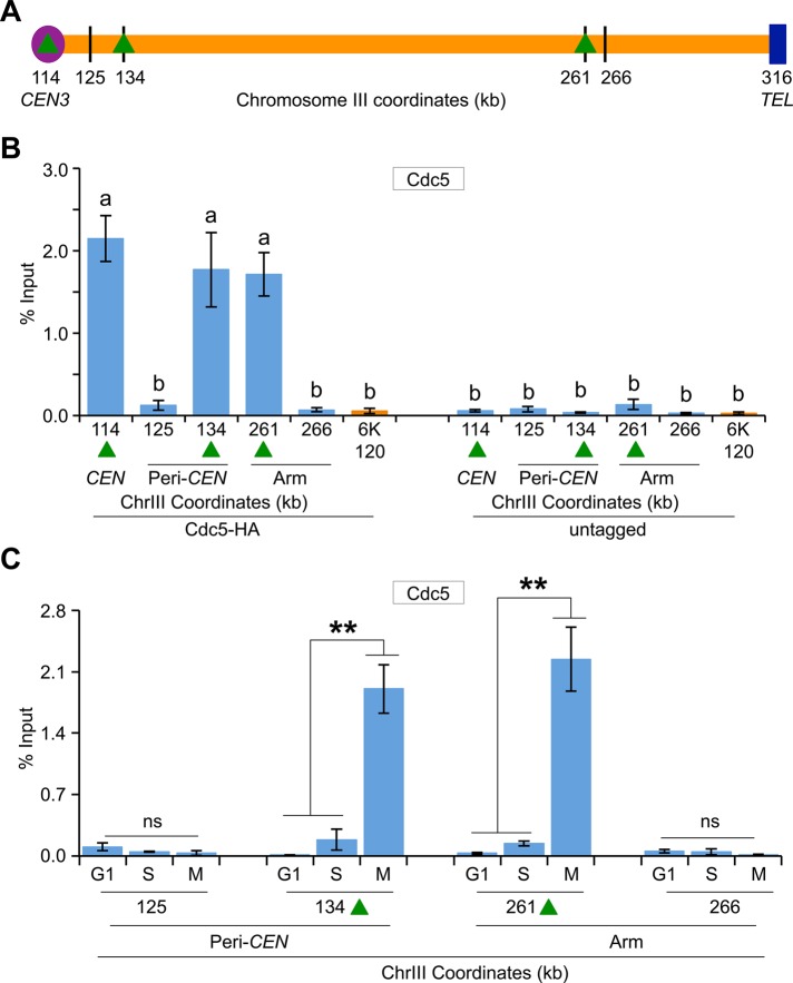 FIGURE 3: