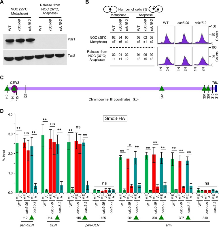 FIGURE 9: