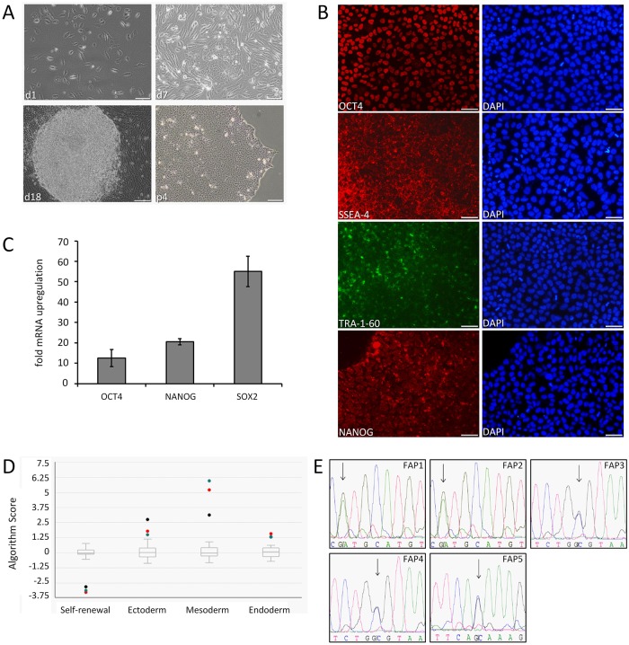 Fig 2