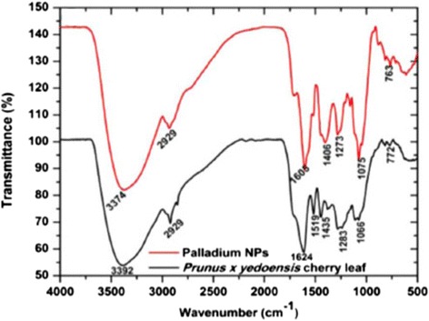 Fig. 7