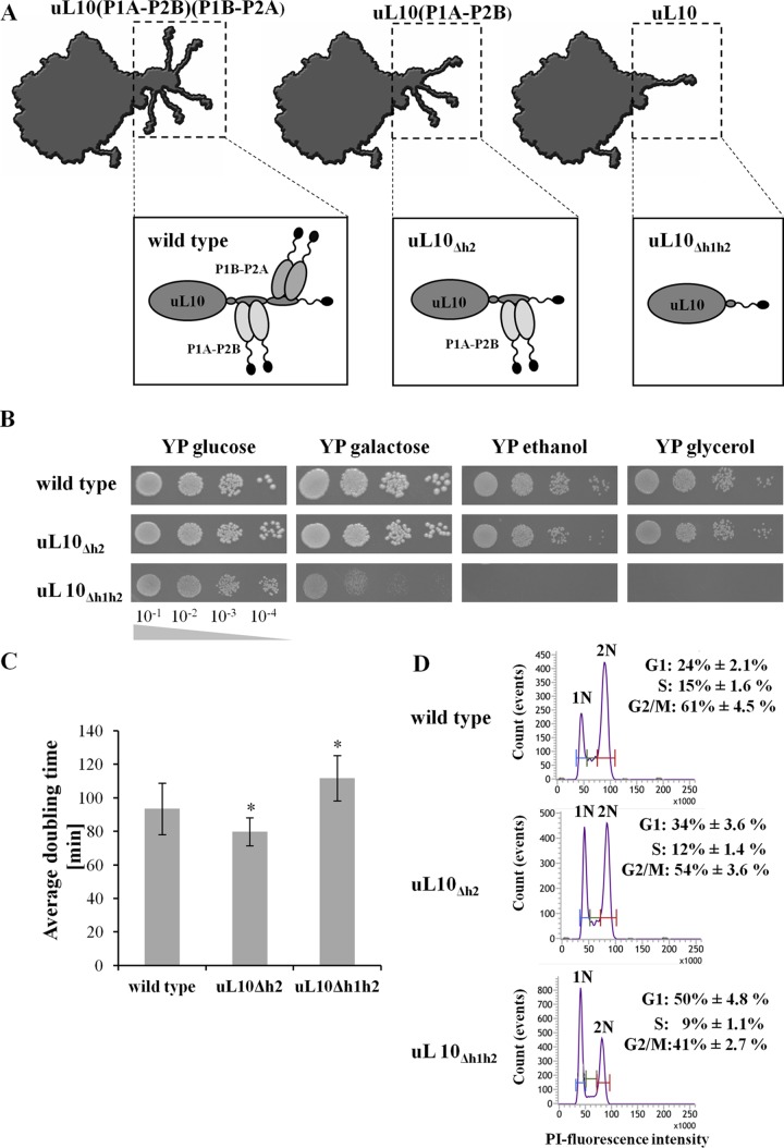 FIG 1