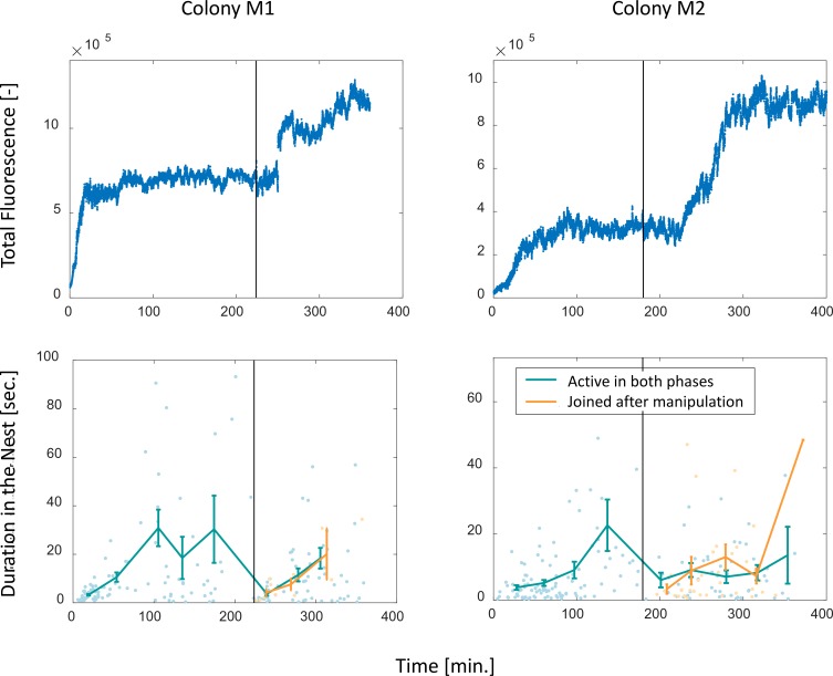 Figure 4—figure supplement 2.