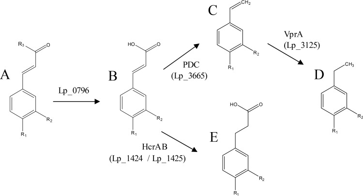 FIG 6