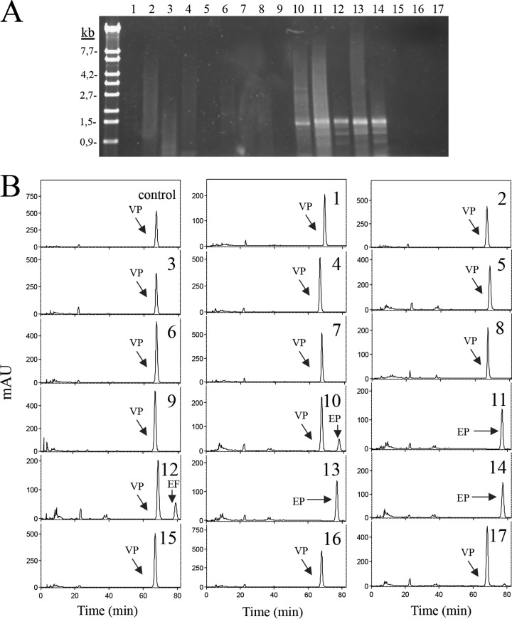 FIG 5