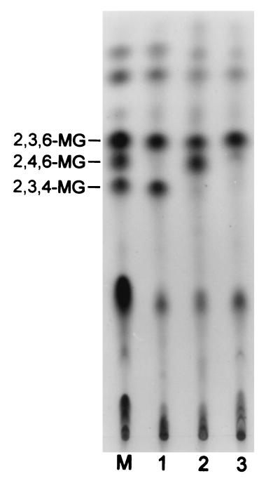 FIG. 6