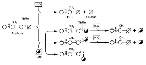 FIG. 9