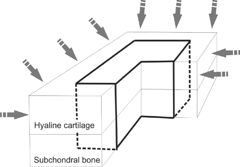 Fig. 2