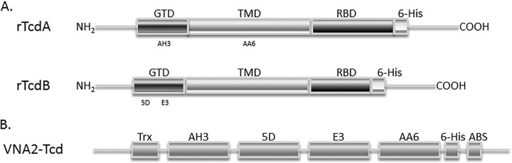 FIG 1