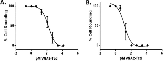 FIG 2