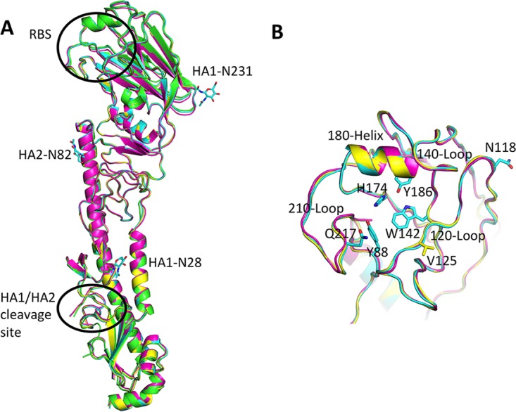 FIG 1