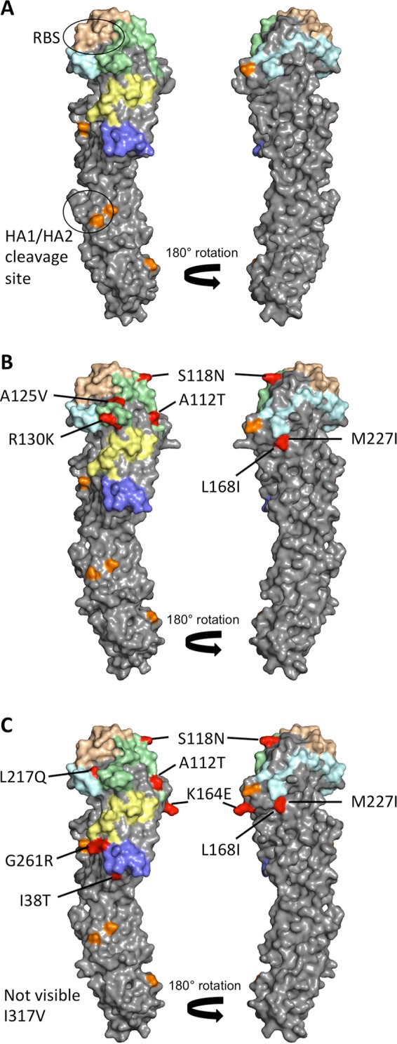 FIG 3