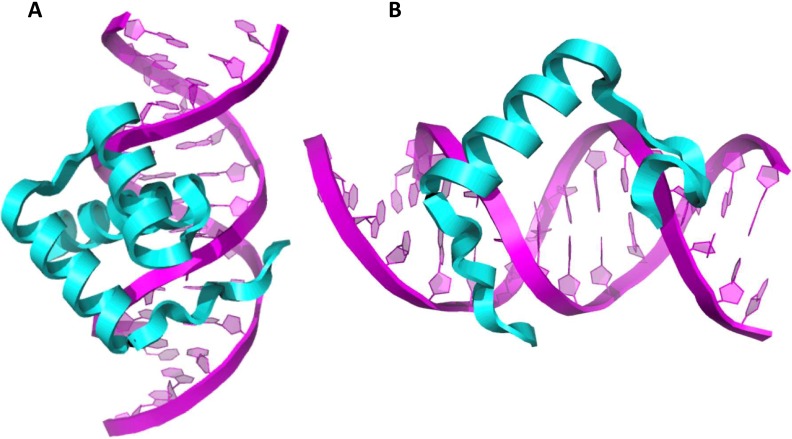 Fig 5