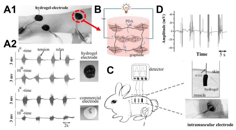 Figure 12