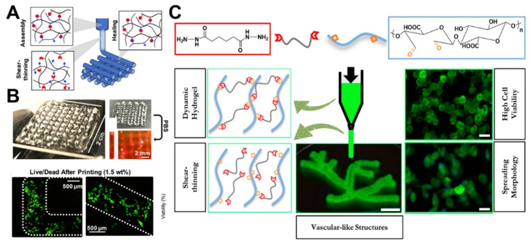 Figure 10