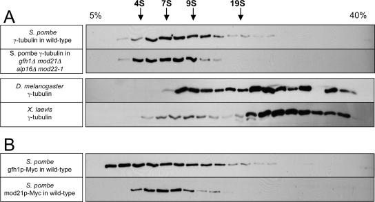 Figure 12.