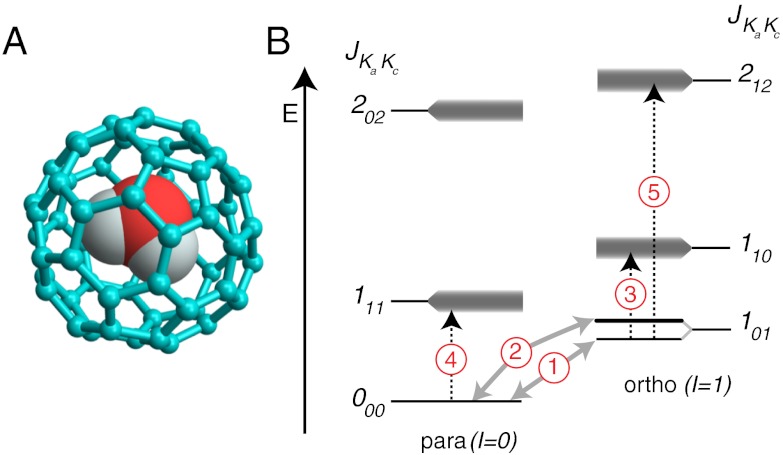 Fig. 1.