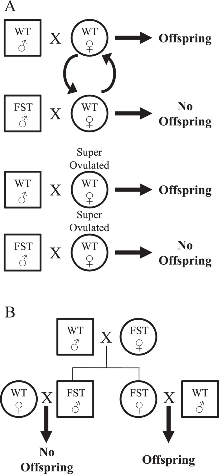 FIG. 1. 