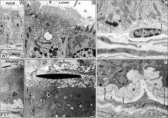 FIG. 7. 