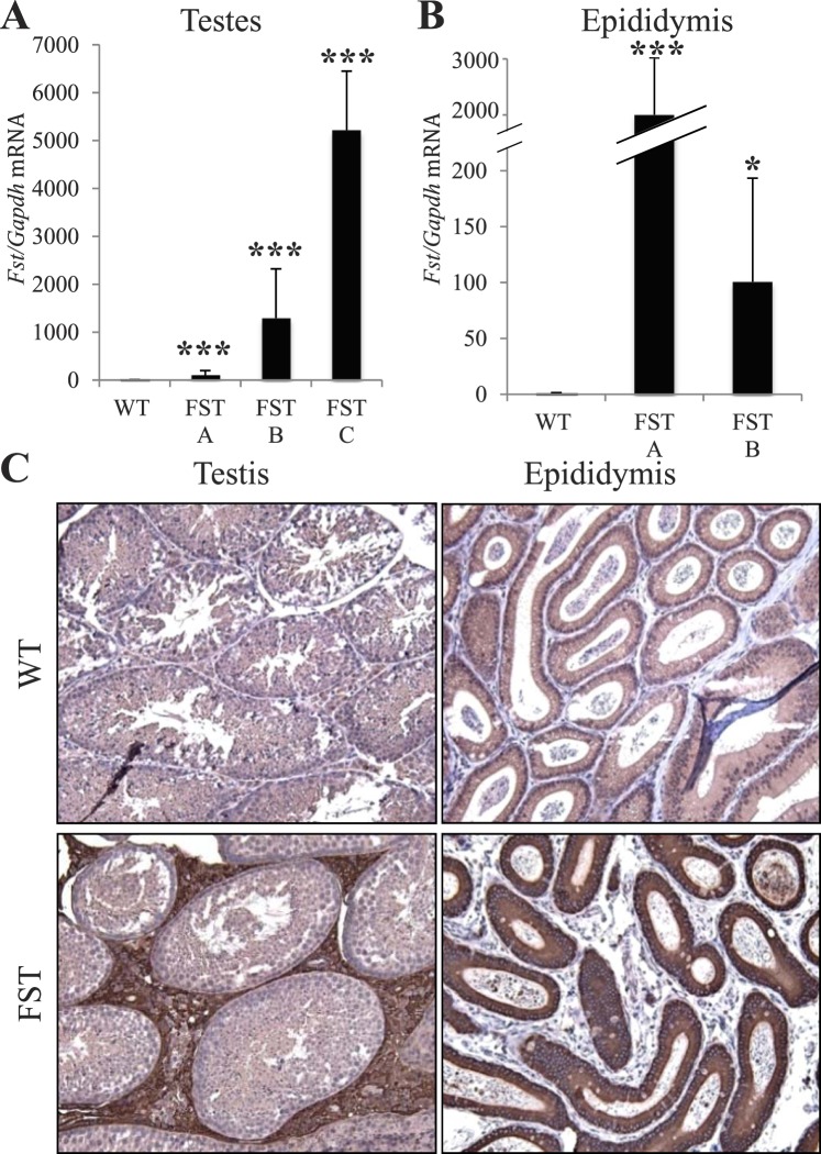 FIG. 3. 