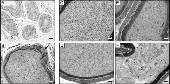 FIG. 5. 