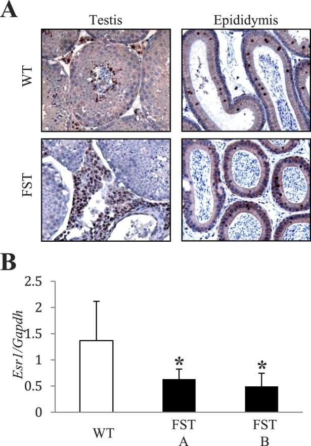 FIG. 8. 