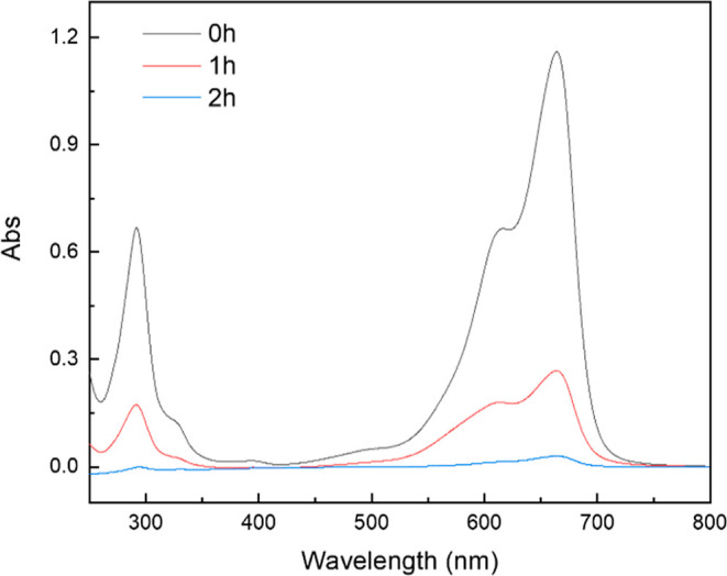 Figure 11