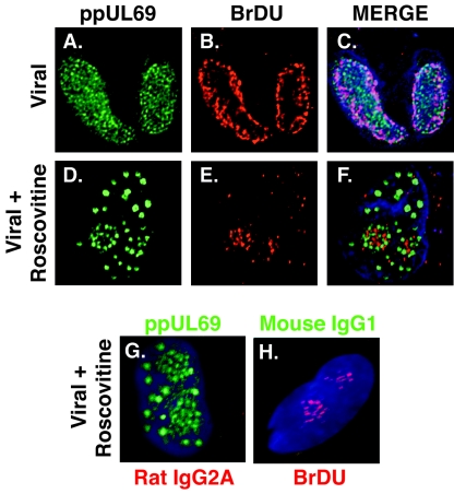 FIG. 8.