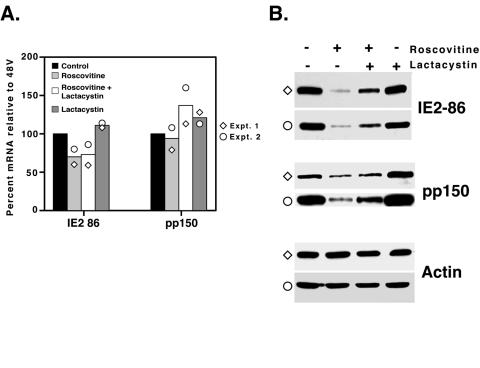 FIG. 5.