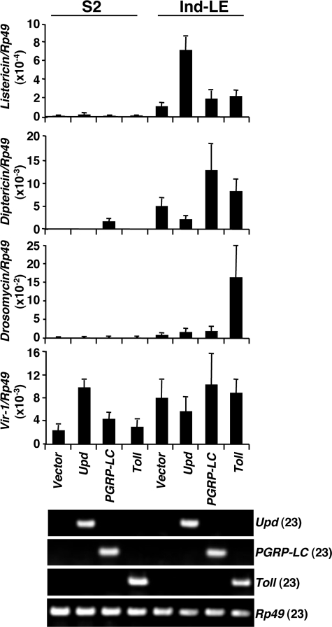 FIGURE 3.