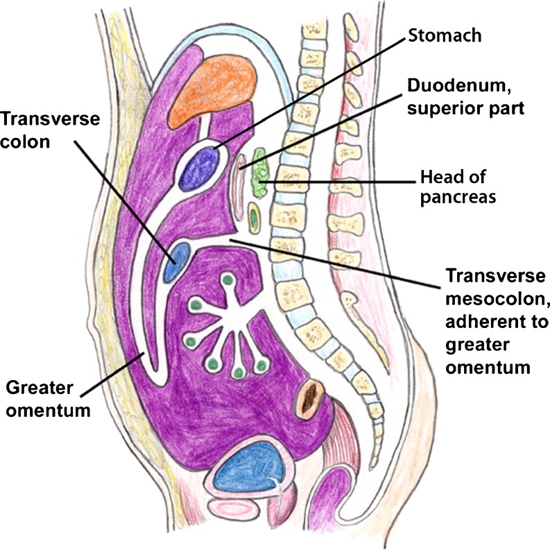 Fig. 1