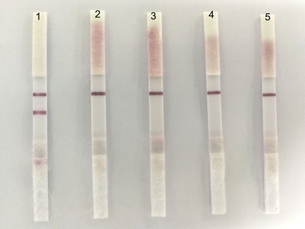 FIGURE 4