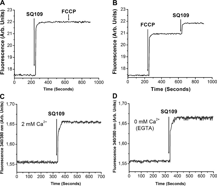 FIG 3