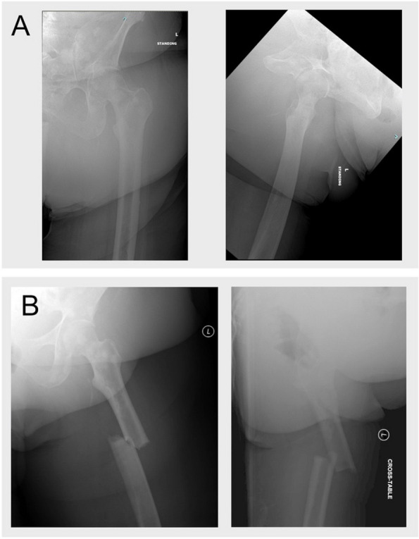 Fig. 3