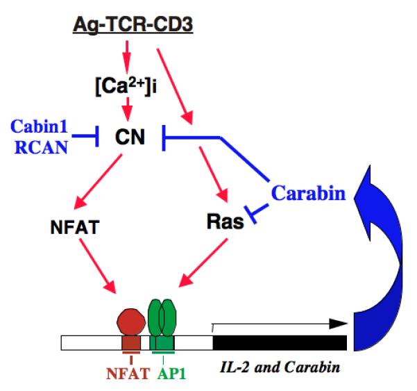 Fig. 3