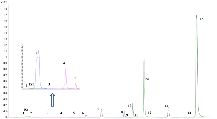 Figure 6