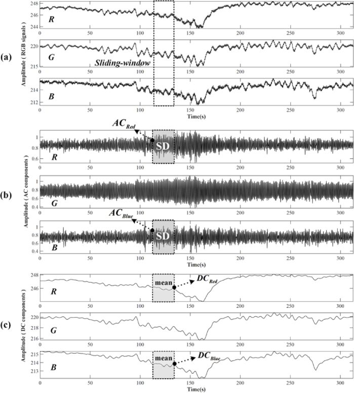 Fig. 2.