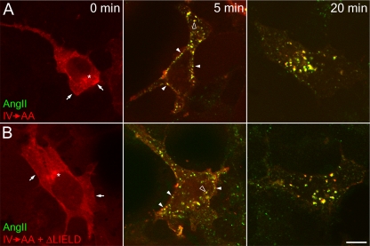 Figure 12.