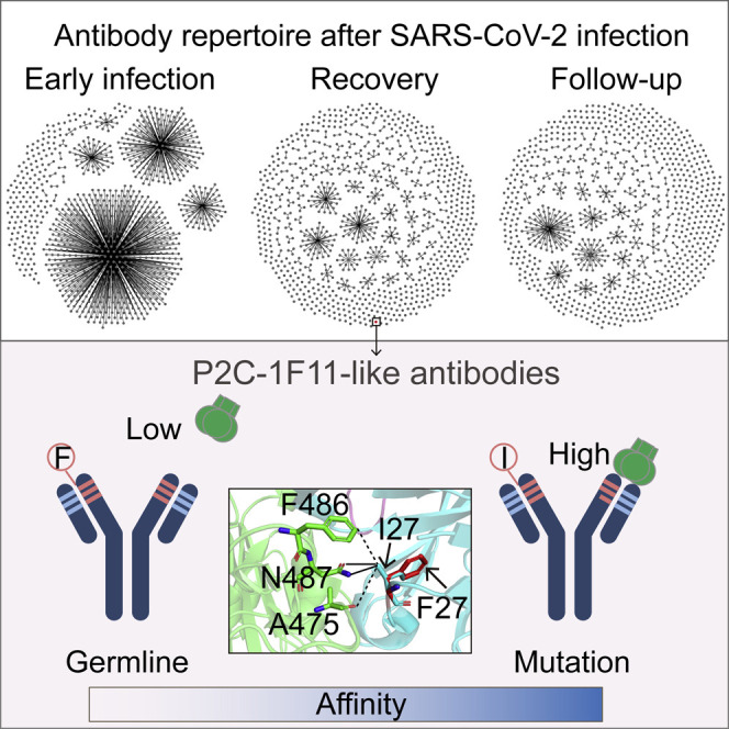 graphic file with name fx1_lrg.jpg