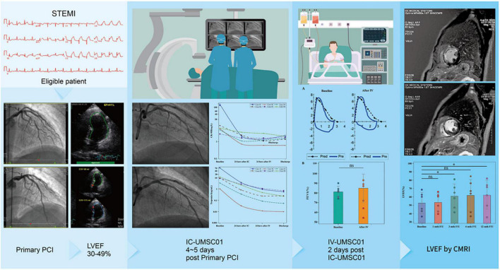 graphic file with name fcvm-09-961920-g005.jpg